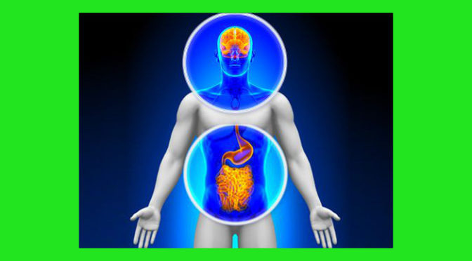 Il cervello addominale: ecco come le emozioni provocano disturbi digestivi e intestinali